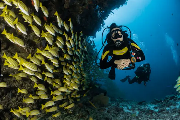 High-Performance Aquarium Filtration Systems