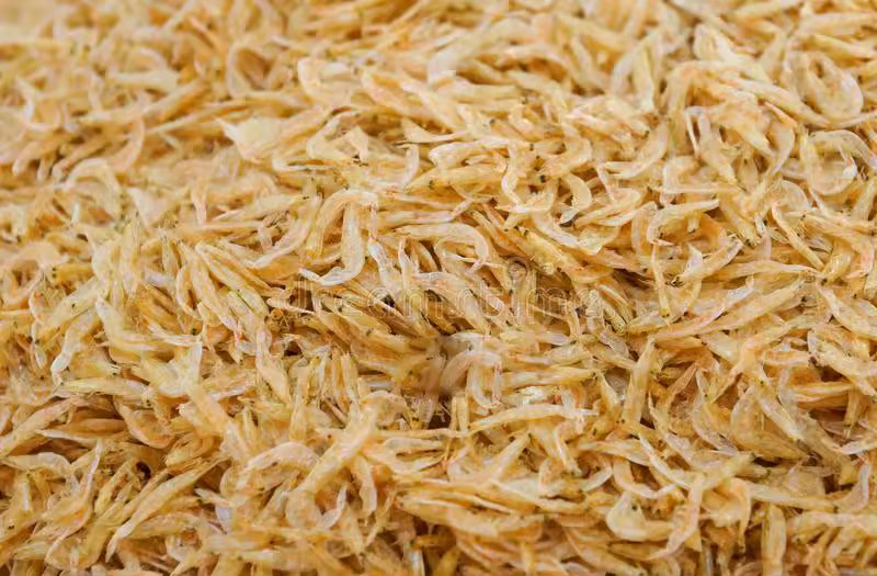 Specialized Ornamental Shrimp Breeding Food - Color & Health Enhancement
